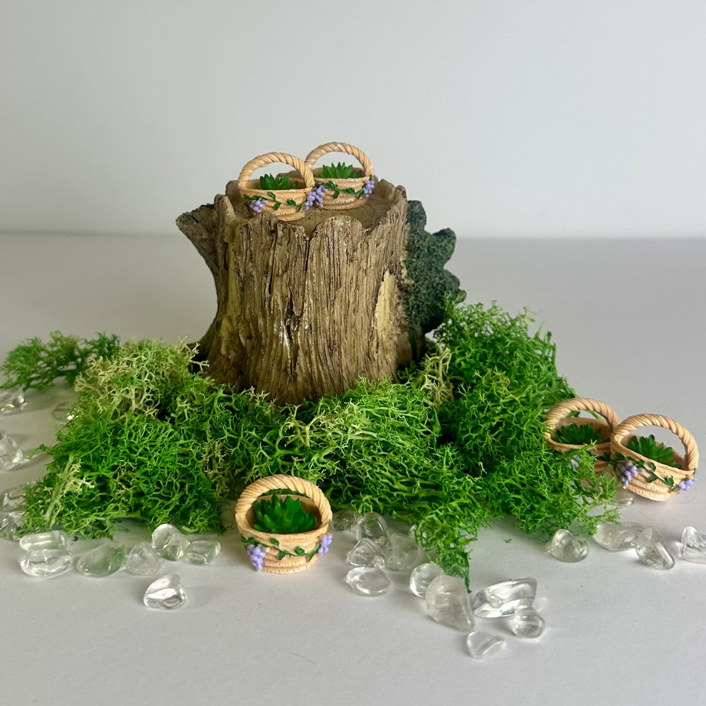 Mini Fairy Garden Assorted Accessories