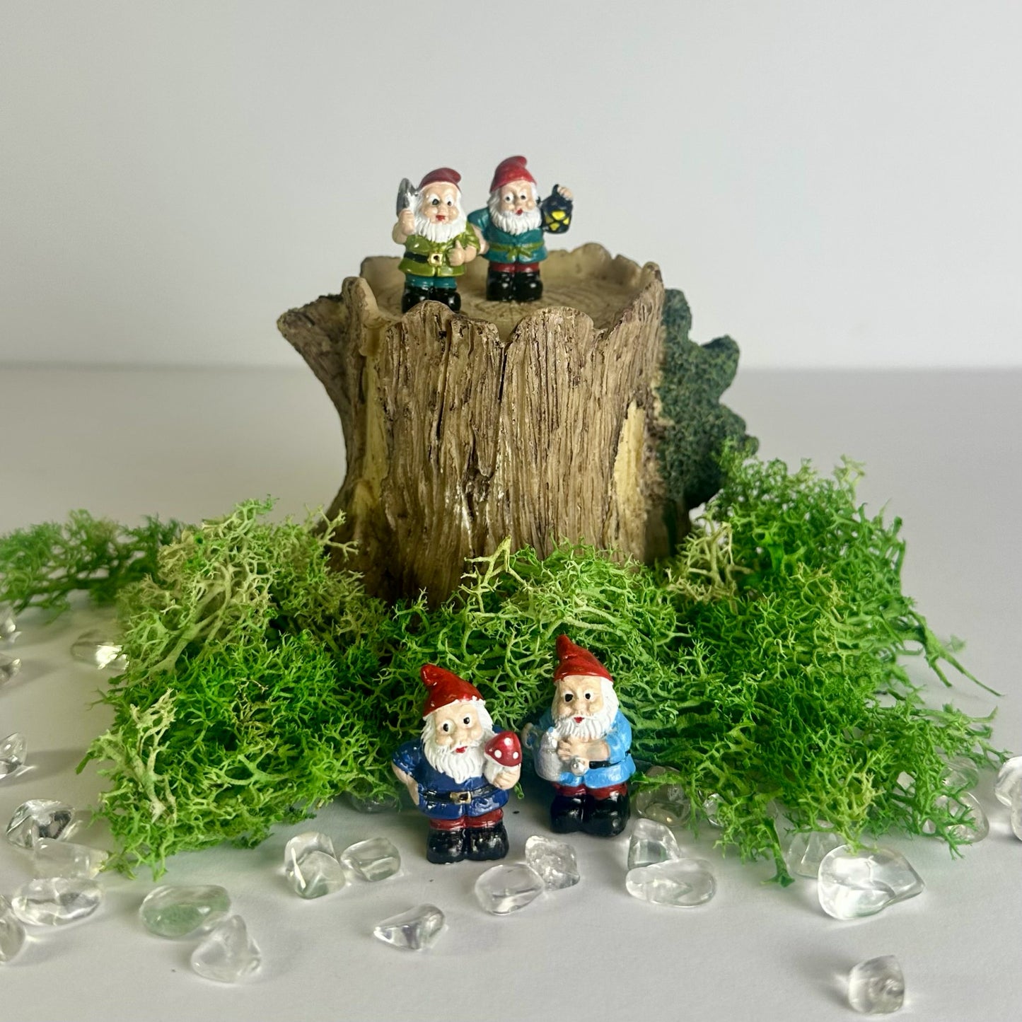 Mini Fairy Garden Assorted Accessories