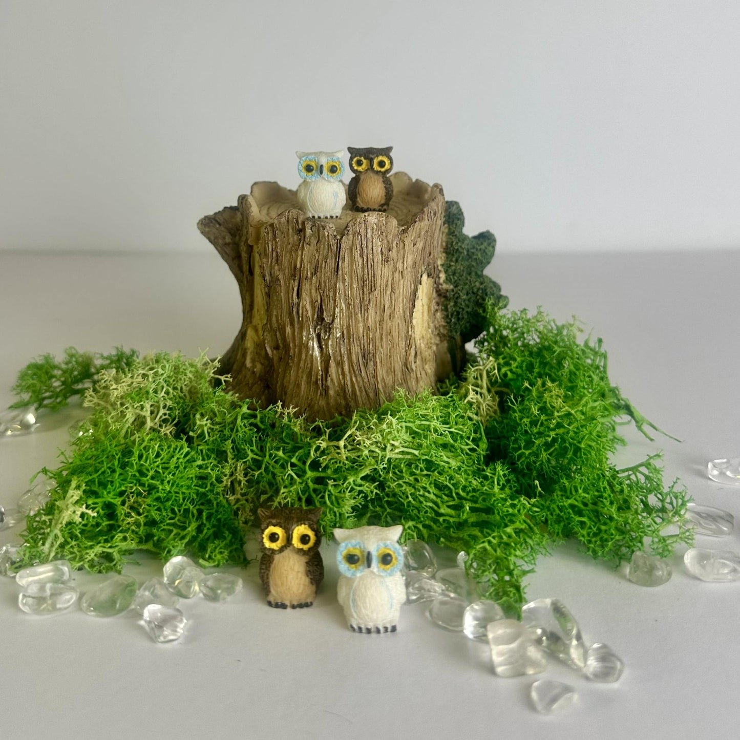 Mini Fairy Garden Assorted Accessories