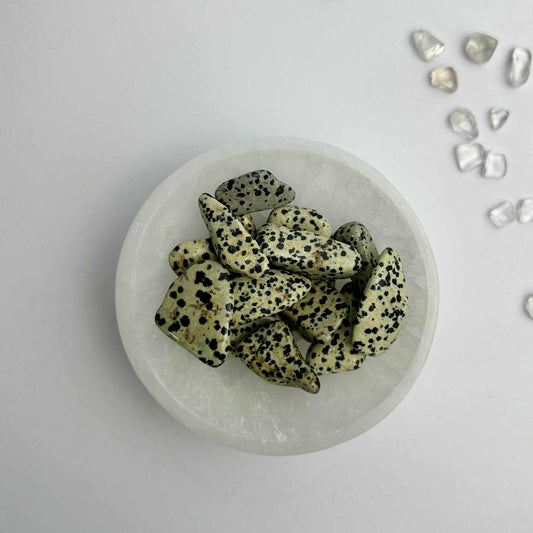 Tumble Stones - Dalmatian Jasper